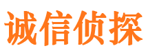 阳东市私家侦探公司